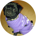 Emma Chan-Paxton profile picture